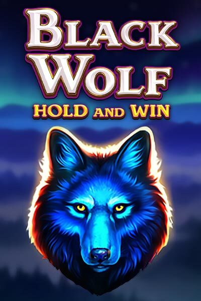 161bet